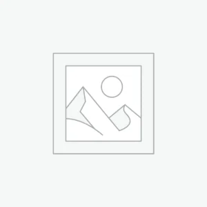 Google Ads Management